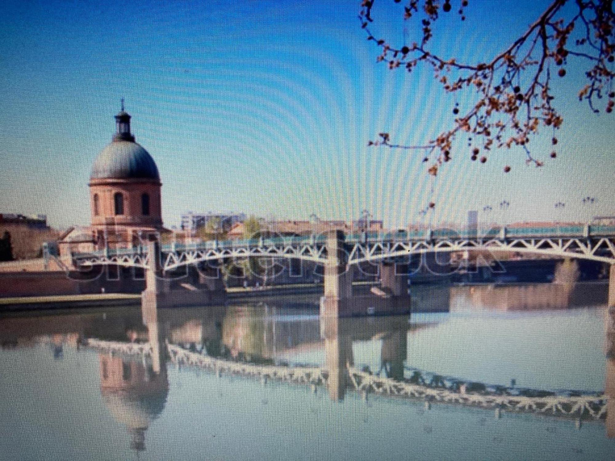 Le Saint Cyp - Toulouse - Appart Entier Cosy Et Au Calme, Proche Du Metro 外观 照片